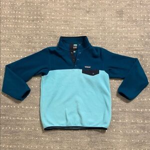 Patagonia Synchilla Snap-T Fleece Pullover